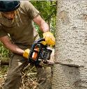 Caboolture Tree Removal Bracken Ridge logo